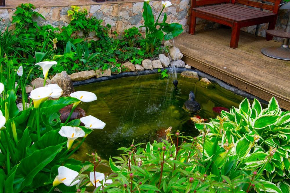 mare dans le jardin
