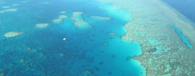 Plongez au cur de la Grande barrière de Corail
