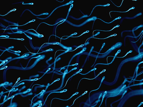 fertilité sperme test