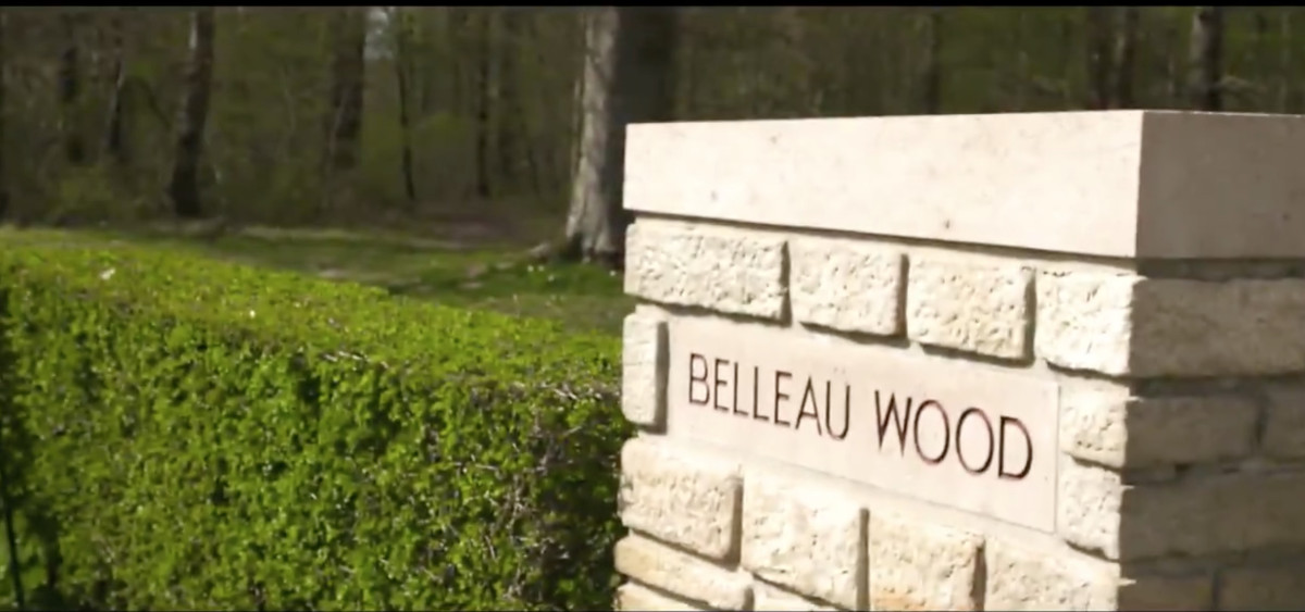 Le bois Belleau, dont est originaire l'arbre offert à Donald Trump
