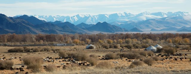 Et si vous partiez faire un trek en Mongolie ?