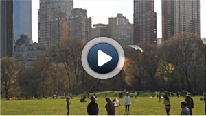 Une année dans la peau d'un new yorkais