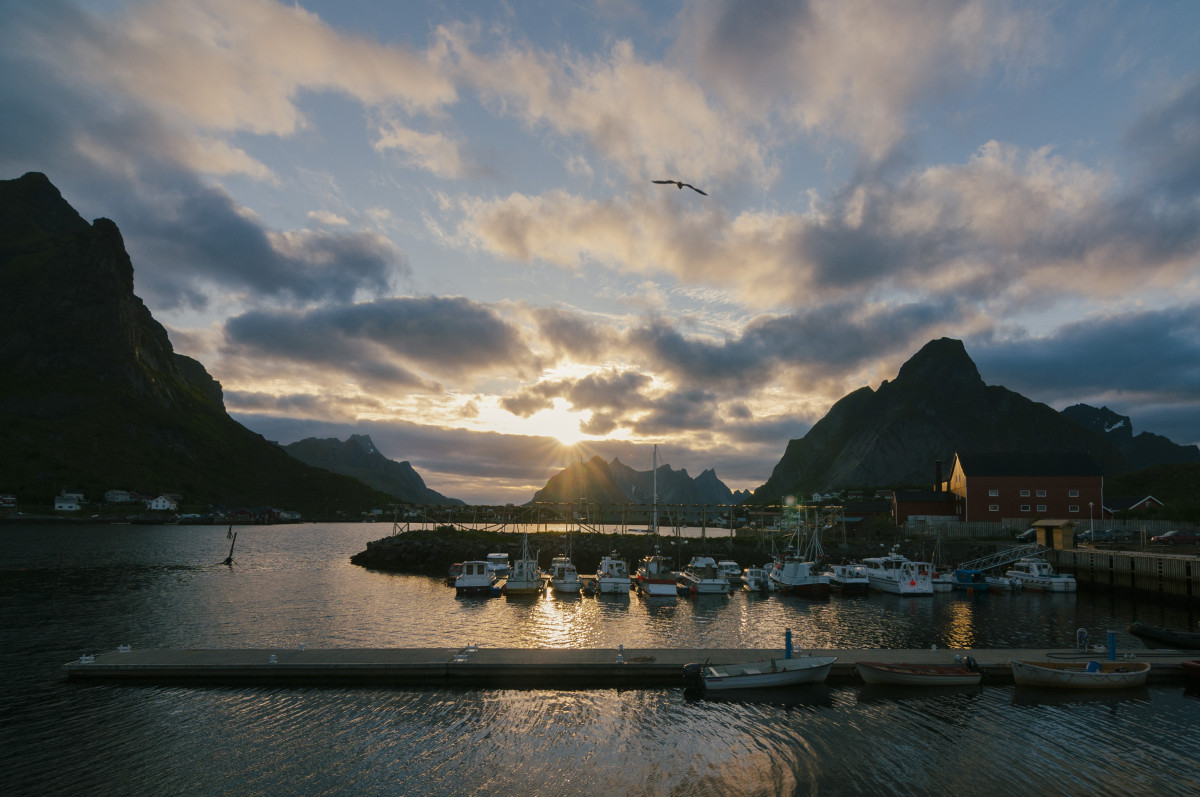 lofoten norvège
