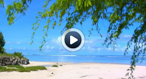 L’île de la réunion : un paradis !