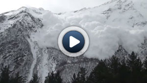 L'incroyable puissance de la nature