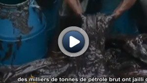 Une marée noire impressionnante dans la mer Jaune
