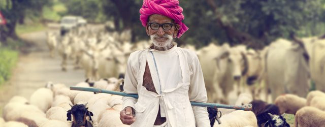 Voyage au cur de l'Inde