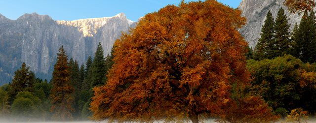 Vivez l'automne au cur du Parc national Yosemite