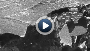 Effet papillon : le tsunami du 11 mars a eu des effets inattendus en Antarctique…