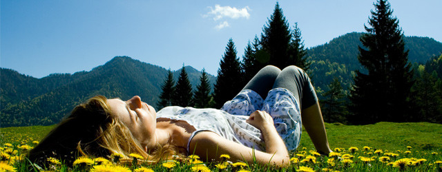 Vous feriez bien une sieste au soleil?