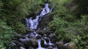 Un petit tour d'Irlande, ça vous tente ?