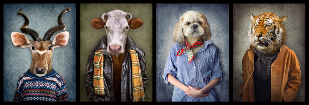 animaux humains