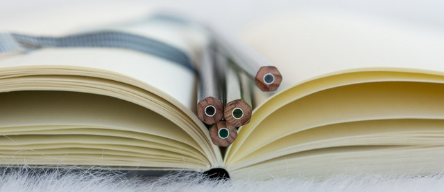 bullet journal