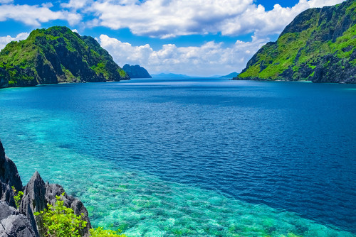 Une étrange créature découverte aux Philippines (c) Shutterstock