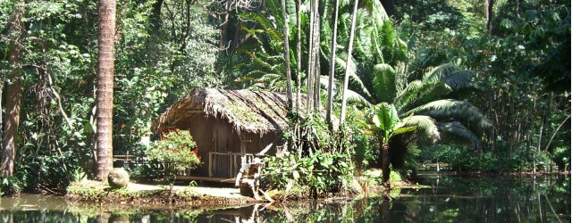 jardin botanique Rio