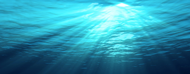 Plongeons dans la vie sous-marine