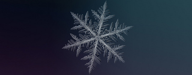 Des flocons comme vous ne les avez jamais vus