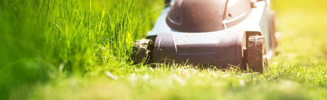 travaux jardin septembre