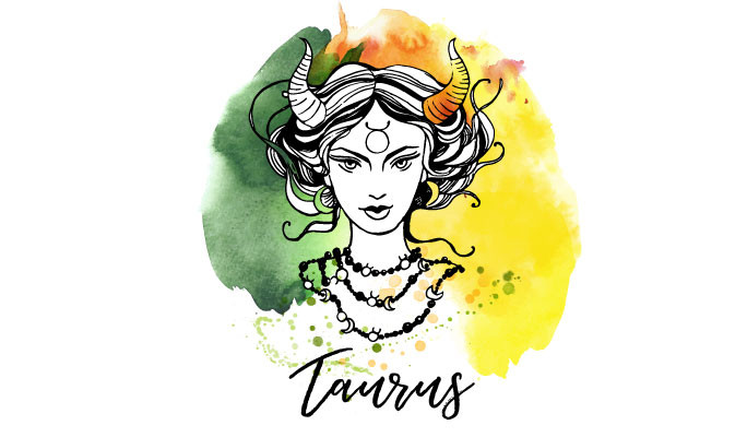 taureau illustration