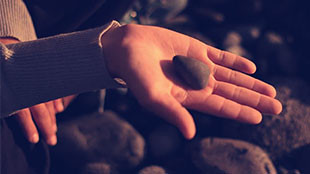 Fragments de vie