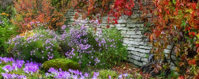 jardin automne