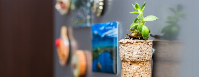 personnaliser frigo