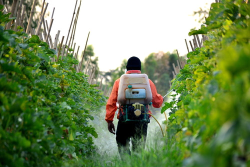 Pesticides