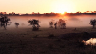 Safari en plein cœur de l’Afrique du Sud
