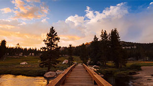 Une promenade au coeur du parc Yosemite