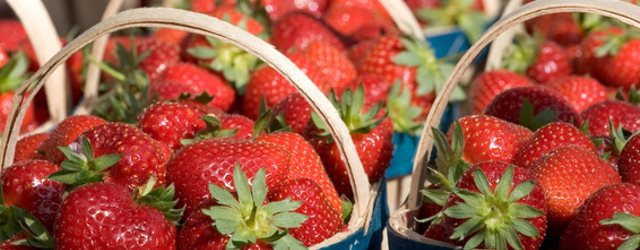 Quel temps pour la fête de la fraise de Carpentras ?