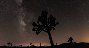 Retour sur la Nuit des étoiles