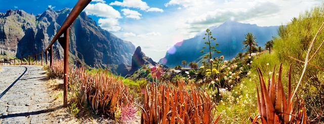 Tenerife