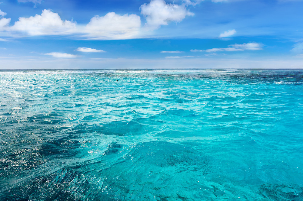 mer-australie-attaque-danger-creatures-vacances-blessure