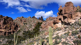 Une randonnée dans le désert de Mojave