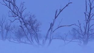 Ode à l’Hiver