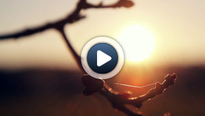 La beauté absolue de la nature