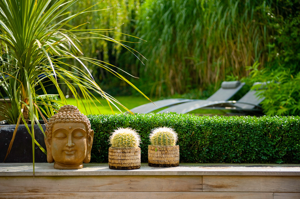 Jardin zen