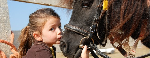 cheval