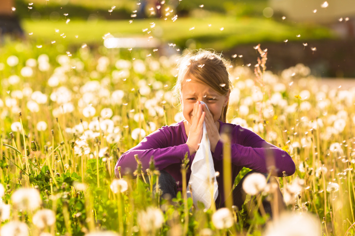 Alerte rouge Allergies