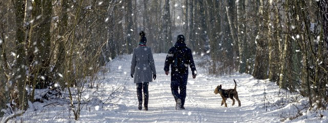 balade hiver