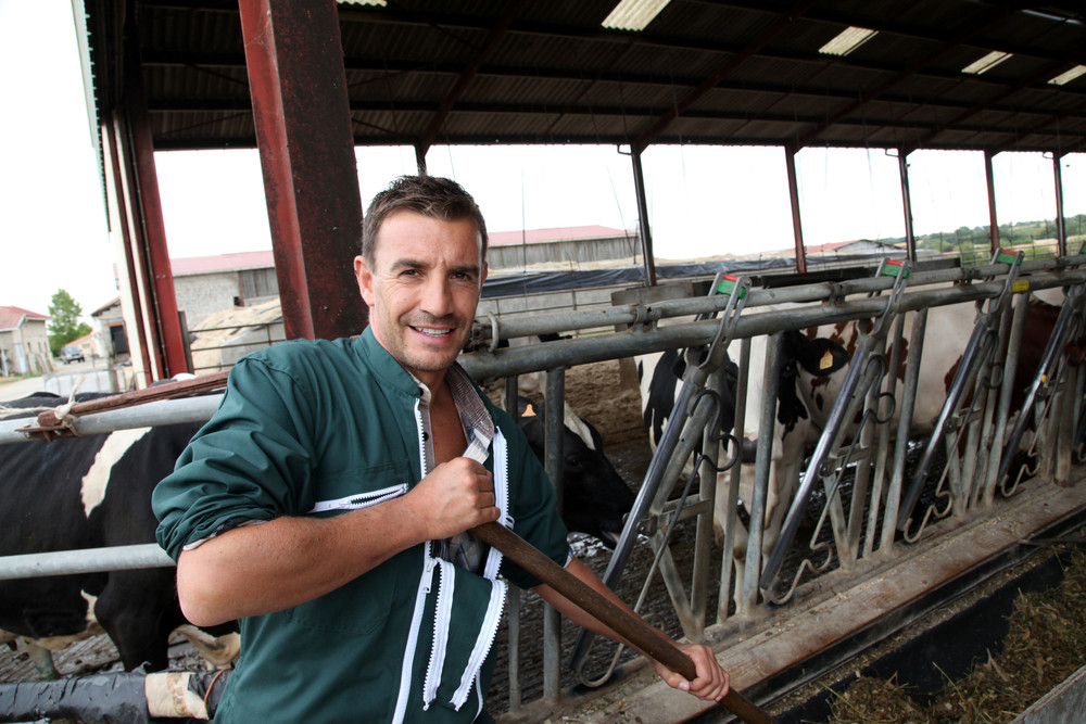 éleveur de vaches.