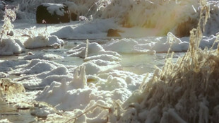 Voici venir l'hiver