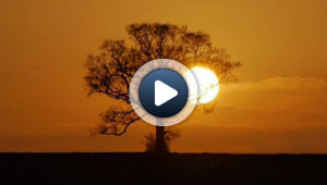L'évidente beauté d'un coucher de soleil