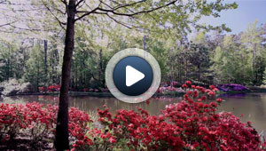 Le printemps fleuri autour d’Atlanta