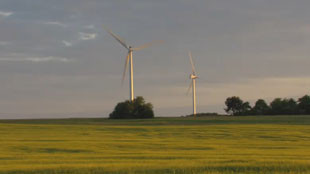 Les chemins de traverse de la Côte d’Or