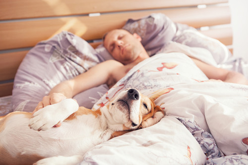 homme qui dort