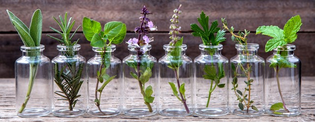 huiles essentielles