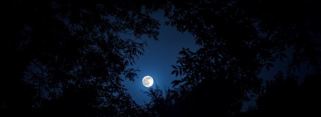 jardinage lune