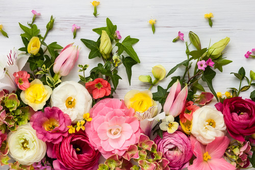 fleurs d'été