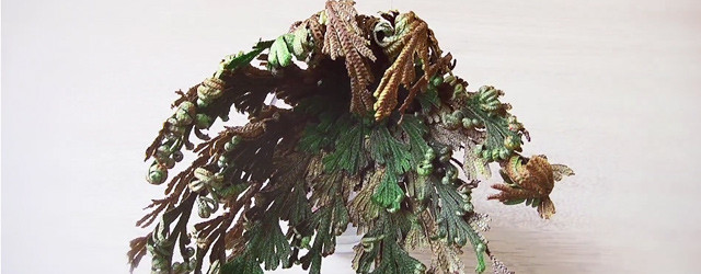 La rose de Jericho, la fleur de résurrection